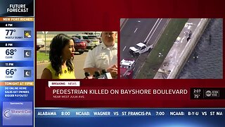 Deadly crash on Bayshore Blvd.