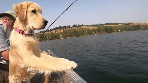 Fishing With a Five Month Old Golden Retriever