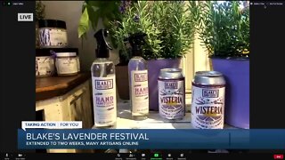 Blake's Lavender Festival