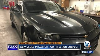 Search for hit and run driver continues