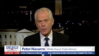 Peter Navarro Interview on His Findings