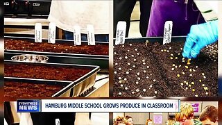 Hamburg Middle School brings grow rack into its culinary classroom