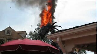 Drago completamente in fiamme durante una parata a Disney World