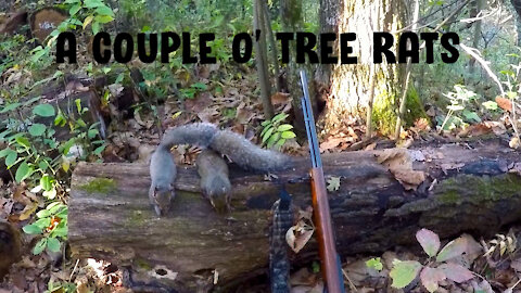 A Couple O' Tree Rats