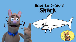 How to Draw a Shark