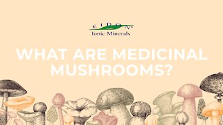 Hey Amanda, What are medicinal mushrooms?