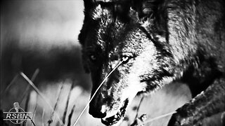 Agenda47: Wolves 6/6/23
