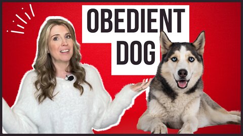 How To Have An Obedient Dog