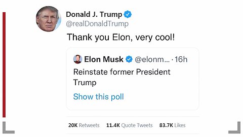 TRUMP WINS - Reinstated by Elon Musk!