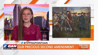 Tipping Point - Erich Pratt - Our Precious Second Amendment