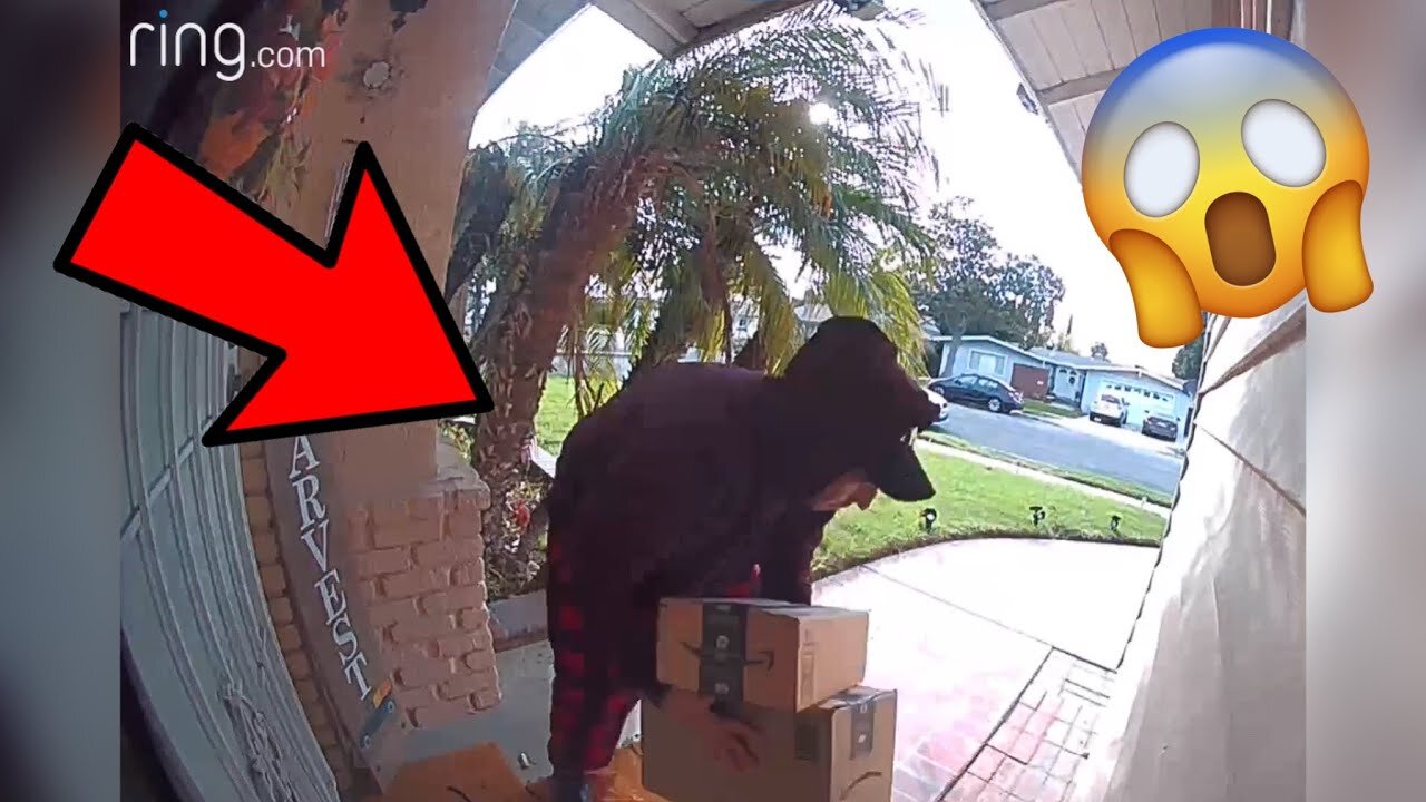 Porch Pirates Caught On Ring Doorbell Camera Compilation