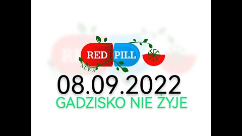 Red Pill News | Wiadomości W Czerwonej Pigułce 08.09.2022