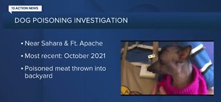 Las Vegas police investigate multiple dog poisonings