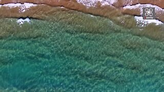 Drone footage captures Greek beach with sandy dunes and clear water