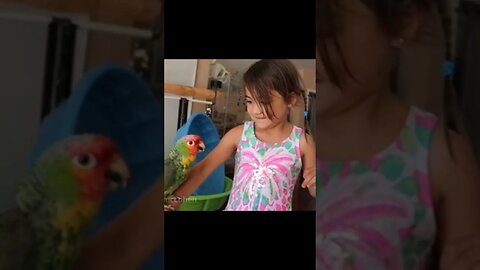 Amazon parrot plays with 5 year old! 🦜