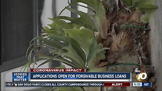 Small businesses can start applying for forgivable loans