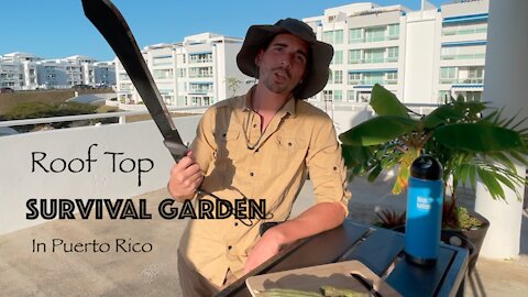 Touring My Roof Top Survival Garden in Puerto Rico