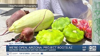 We're Open, Arizona: Project Roots AZ