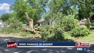 Wind Damage in Wisner, NE