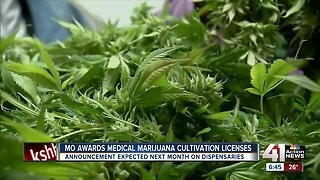 MO awards medical marijuana cultivation licenses