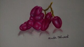 drawing Grape