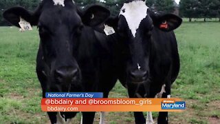 National Farmer's Day - Broom's Bloom Dairy