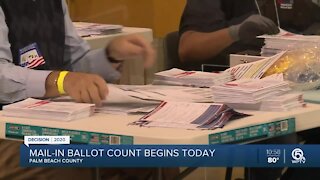 Palm Beach County begins counting mail-in ballots