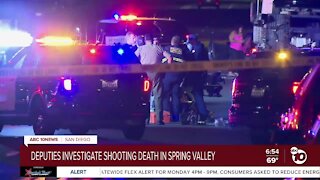 Deadly Spring Valley-area shooting under investigation