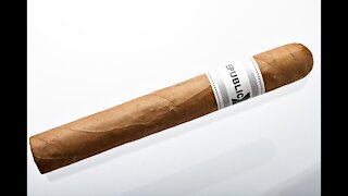 Republic Silver Label Toro Cigar Review