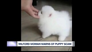 Woman warns a bout puppy scam