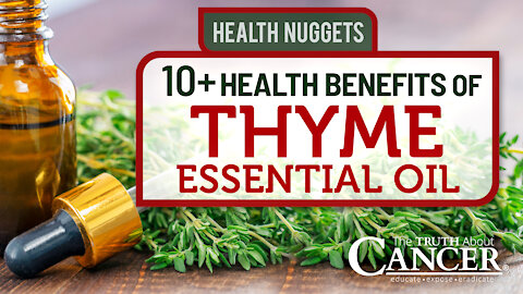The Truth About Cancer Presents: Health Nuggets - 10+ Health Benefits of Thyme Essential Oil
