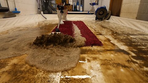 Resurrecting Elegance: The Epic Cleaning of a Mud-Caked Shaggy Rug | Satisfying ASMR Carpet Cleaning