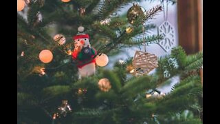 Girl knocks down Christmas tree trying to reach star