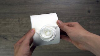 How to Make an Easy Rose on a Toilet Paper Roll