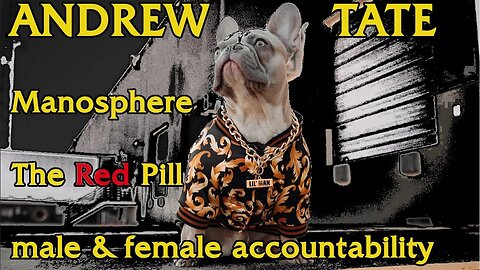 The Manosphere, The RED pill & Andrew Tate