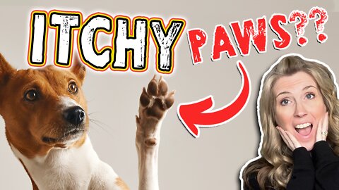 Does Your Dog Have Itchy Paws?