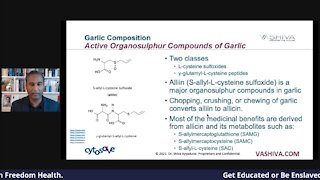 How Garlic Powers Your Immune System. A CytoSolve Systems Biology Analysis.