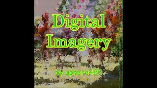 Digital Imagery