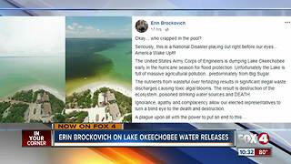 Erin Brockovich weighs in on brown water releases from Lake Okeechobee