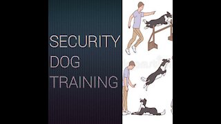 Security dog training