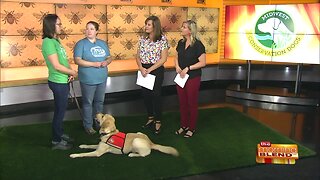 Training Dogs to "Bee" a Change in the Midwest