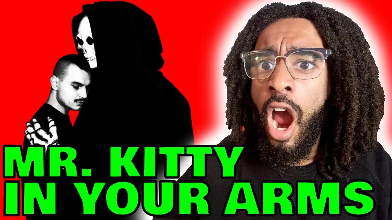 IN YOUR ARMS - MR. KITTY REACTION