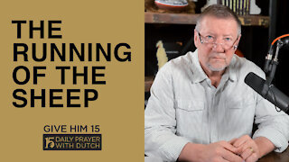 The Running of the Sheep | Give Him 15: Daily Prayer with Dutch | March 18