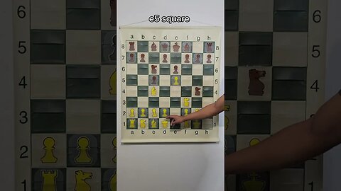 Chess Knowledge With H1