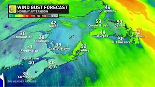 Gusty winds transition from rainy Sunday to clear Monday