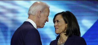 Joe Biden picks Kamala Harris as his VP