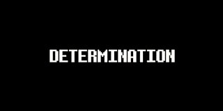 Determination - Nate Mueller