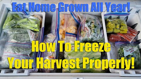 How To Freeze Your Harvest Properly | Near-Perfect Food Preservation!