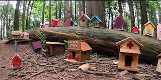 Incredible fairy village discovered in park forest