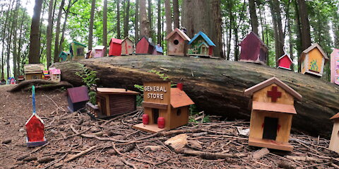 Incredible fairy village discovered in park forest